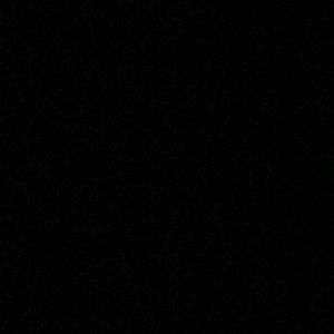 Meet your Posher, Brady